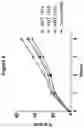 Fig. 10 - Monoclonal antibodies against HER2 epitope and methods of use thereof