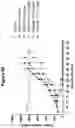 Fig. 24 - Monoclonal antibodies against HER2 epitope and methods of use thereof