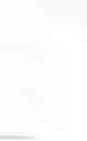 Fig. 47 - Monoclonal antibodies against HER2 epitope and methods of use thereof