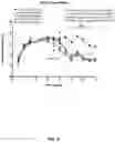 Fig. 04 - ANTIGEN-BINDING PROTEINS THAT ACTIVATE THE LEPTIN RECEPTOR