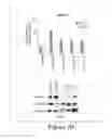 Fig. 04 - Lin28-mediated control of let-7 biogenesis