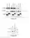 Fig. 08 - Lin28-mediated control of let-7 biogenesis