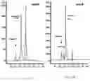 Fig. 14 - Method for treatment of an IL-17A-mediated disease through antibody administration specific to human IL-17A