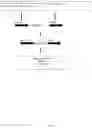 Fig. 16 - Method for treatment of an IL-17A-mediated disease through antibody administration specific to human IL-17A