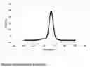 Fig. 03 - Coupled polymer products, methods of making and compositions containing