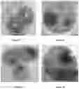 Fig. 04 - Quorum sensing based polymer for stimulation of biofilms and related phenotypes, and synthesis process thereof