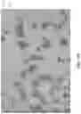 Fig. 03 - Additive manufacturing support material
