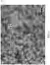Fig. 06 - Additive manufacturing support material