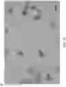 Fig. 12 - Additive manufacturing support material
