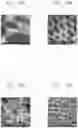 Fig. 11 - Light transmittance control film and composition for the light transmittance control film