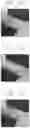 Fig. 12 - Light transmittance control film and composition for the light transmittance control film