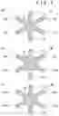 Fig. 06 - Foaming particle molded body