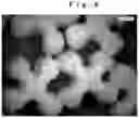 Fig. 07 - Foaming particle molded body
