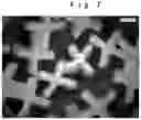 Fig. 08 - Foaming particle molded body
