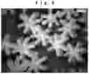Fig. 09 - Foaming particle molded body