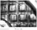 Fig. 11 - Method for reducing drawing force in forming process of photocurable material