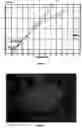 Fig. 04 - Processing method and products produced thereby