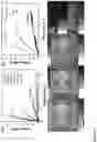 Fig. 11 - POLYMER COMPOSITIONS FOR 3-D PRINTING AND 3-D PRINTERS