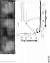 Fig. 17 - POLYMER COMPOSITIONS FOR 3-D PRINTING AND 3-D PRINTERS