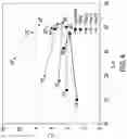 Fig. 05 - PIGMENT COMPOSITION WITH IMPROVED SPARKLING EFFECT