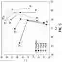 Fig. 06 - PIGMENT COMPOSITION WITH IMPROVED SPARKLING EFFECT