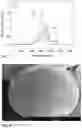 Fig. 03 - Reactive particles for coating technologies