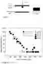 Fig. 04 - Reactive particles for coating technologies
