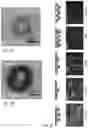 Fig. 05 - Reactive particles for coating technologies
