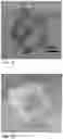 Fig. 07 - Reactive particles for coating technologies