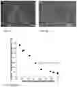 Fig. 08 - Reactive particles for coating technologies