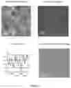 Fig. 03 - COATING
