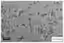 Fig. 01 - Water-based coating composition, and multi-layer coating film