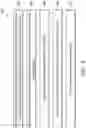 Fig. 07 - Materials and methods for chemical mechanical polishing of ruthenium-containing materials
