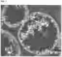 Fig. 08 - Organic-inorganic composite particles and manufacturing method therefor, and thermally conductive filler and thermally conductive resin composition and manufacturing method therefor