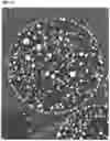 Fig. 14 - Organic-inorganic composite particles and manufacturing method therefor, and thermally conductive filler and thermally conductive resin composition and manufacturing method therefor