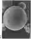Fig. 16 - Organic-inorganic composite particles and manufacturing method therefor, and thermally conductive filler and thermally conductive resin composition and manufacturing method therefor