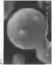 Fig. 17 - Organic-inorganic composite particles and manufacturing method therefor, and thermally conductive filler and thermally conductive resin composition and manufacturing method therefor