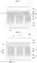 Fig. 04 - Phosphor-containing film and backlight unit