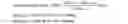 Fig. 03 - Laundry detergent compositions comprising renewable components