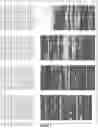 Fig. 02 - Polypeptides having DNase activity
