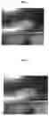 Fig. 02 - Headlight lens cleaning and restoring compositions and methods of use thereof