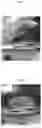 Fig. 05 - Headlight lens cleaning and restoring compositions and methods of use thereof