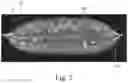 Fig. 03 - WATER-SOLUBLE UNIT DOSE ARTICLES COMPRISING WATER-SOLUBLE FIBROUS STRUCTURES AND PARTICLES