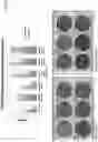 Fig. 07 - Utilization of Wastewater for Microalgal Cultivation