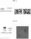 Fig. 12 - METHOD OF MANUFACTURING CELL STRUCTURE