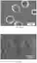 Fig. 09 - Systems and methods including porous membrane for low-voltage continuous cell electroporation