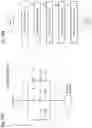 Fig. 17 - Cell detection device and cell detection method