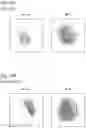 Fig. 20 - Cell detection device and cell detection method