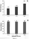 Fig. 08 - Compositions and methods for long-term in vitro culture of the syphilis spirochete