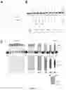 Fig. 09 - OPTOGENETICALLY TRANSFORMED PHOTORECEPTOR PRECURSOR CELLS FOR THE USE IN THE TREATMENT OF RETINAL DEGENERATIVE DISEASES
